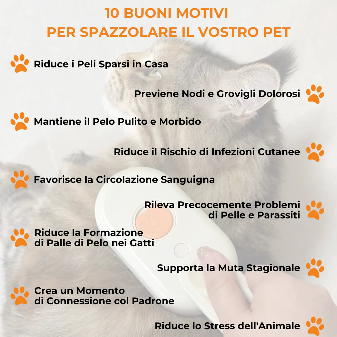 Perfect Brush™ - Spazzola a Vapore 3 in 1