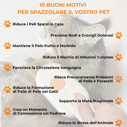 Perfect Brush™ - Spazzola a Vapore 3 in 1