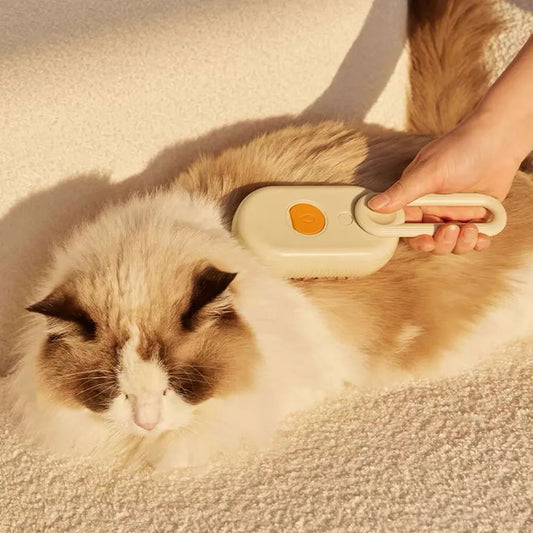 Perfect Brush™ - Spazzola a Vapore 3 in 1
